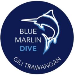 logo (4)