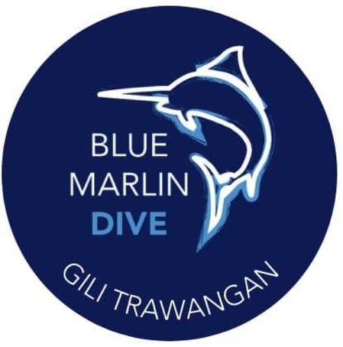 logo (4) logo (4)
