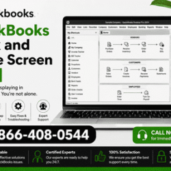 QuickBooks_black_and_white_screen_help_optimized_250