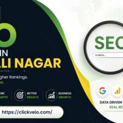 seo-company-in-vaishali-nagar