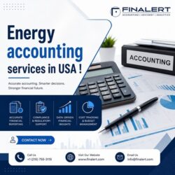 Energy accounting services in USA (1)