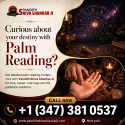 Palm Reading in New York
