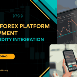 Crypto Forex Trading_11zon