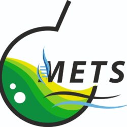 mets logo