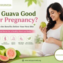Guavabenefitsforahealthypregnanc