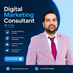 Digital Marketing Consultant in India