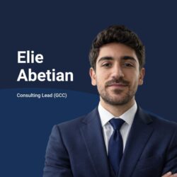 consultant