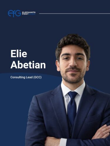 consultant consultant