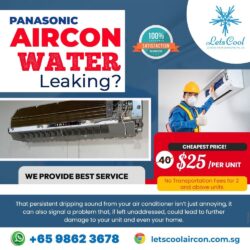 Panasonic aircon water leaking