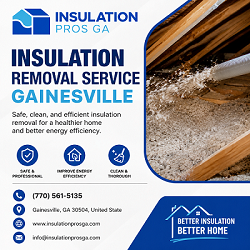 Insulation Removal Service Gainesville 1