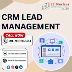 CRM Lead Management