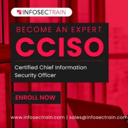 CCISO Online Training