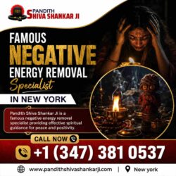 Famous Negative Energy Removal Specialist Astrologer