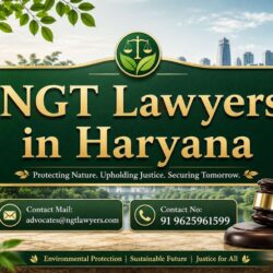 NGT Lawyers in Haryana
