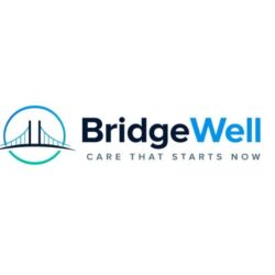 BridgeWell (1)