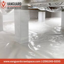 Crawlspace Encapsulation (5)