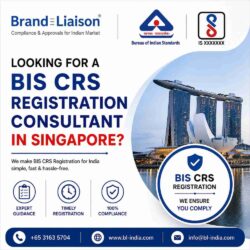 Looking for a BIS CRS Registration Consultant in Singapore100KB