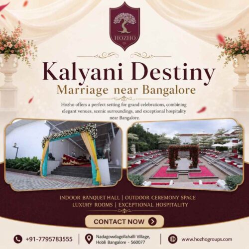 Kalyani destiny marriage Kalyani destiny marriage