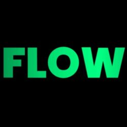 flow (1) (1)