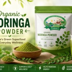 Organic Moringa Powder Nature’s Green Superfood for Everyday Wellness