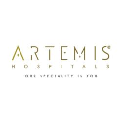 Artemis Logo