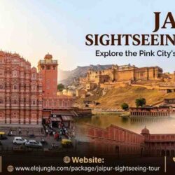 Jaipur-Sightseeing-Tour (1)