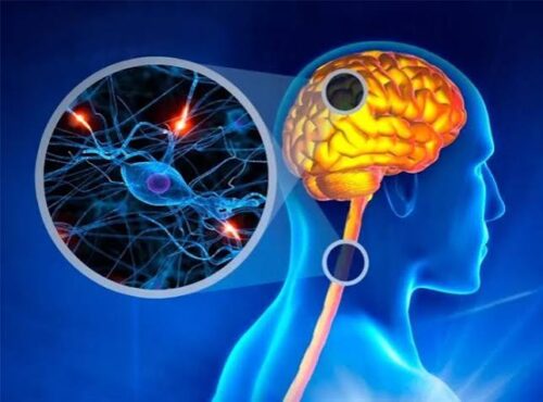 Multiple Sclerosis Treatment Multiple Sclerosis Treatment