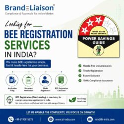 Looking for BEE Registration Services in India100KB