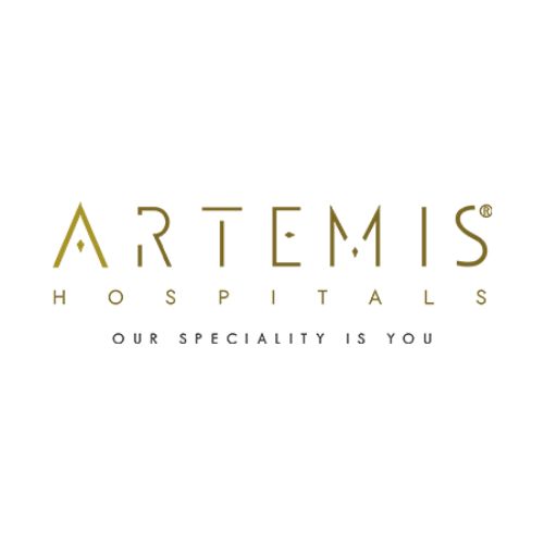 Artemis Logo Artemis Logo