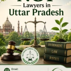NGT Lawyers in Uttar Pradesh