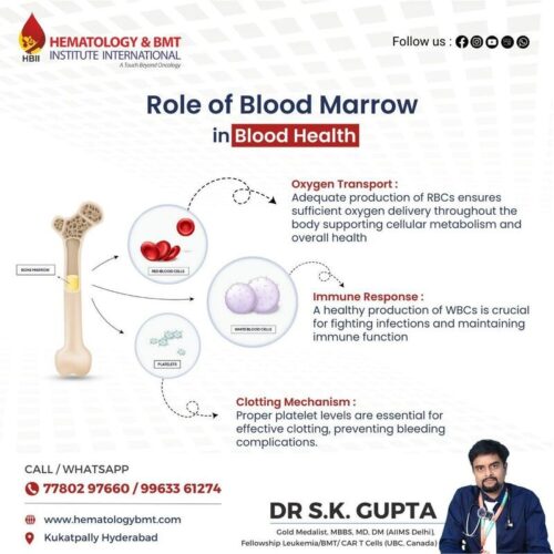 BoneMarrowTransplant BoneMarrowTransplant