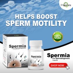 spermia 1