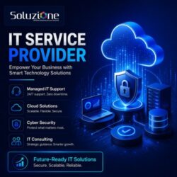 it service provider (1)