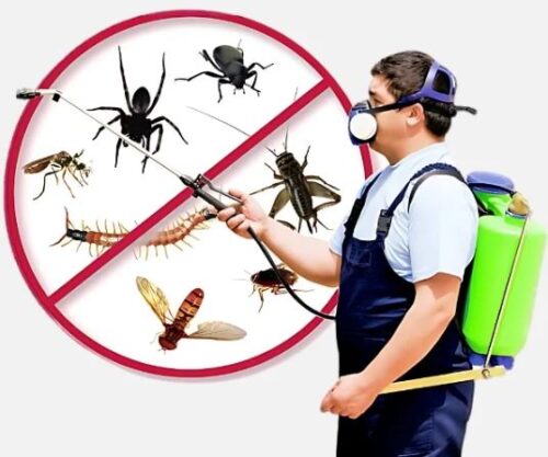 Industrial Pest Control Service in Jaipur Industrial Pest Control Service in Jaipur