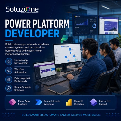 power platform developer power platform developer