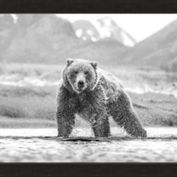 mama-bear-sees-goldilocks_50