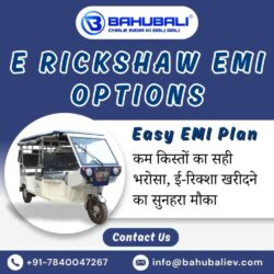 E Rickshaw EMI Options