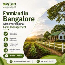 Farmland in Bangalore with Professional Farm Management