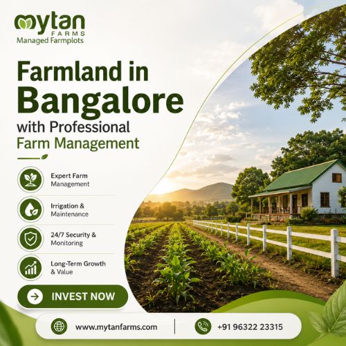 Farmland in Bangalore with Professional Farm Management Farmland in Bangalore with Professional Farm Management