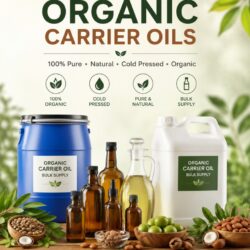 bulk organic carrier oils (2)