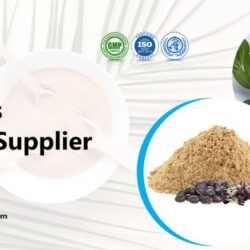 mucuna-pruriens-extract-suppliers