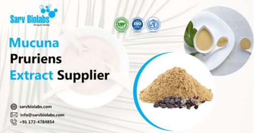 mucuna-pruriens-extract-suppliers mucuna-pruriens-extract-suppliers