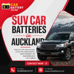 SUV Car Batteries