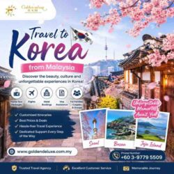 travel to korea
