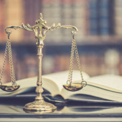 paralegal services provider