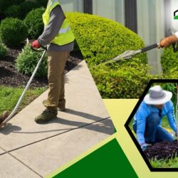 Commerical landscaping Company Shamong