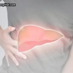 Men & Fatty Liver Disease – A Growing Health Issue