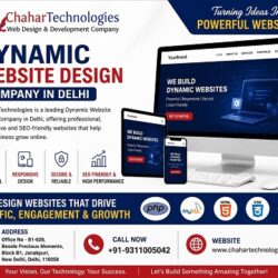 Best Dynamic Website Design Company in Delhi - Copy