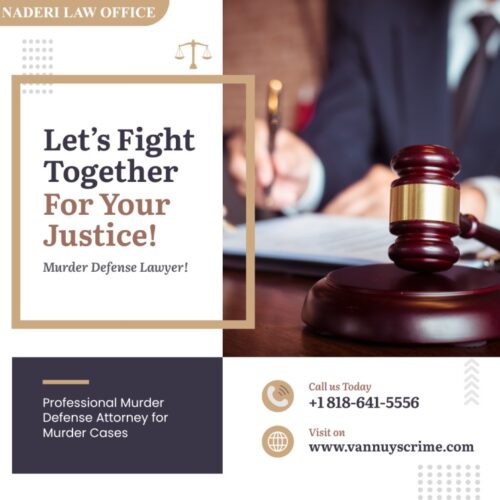 Murder Defense Lawyer Murder Defense Lawyer
