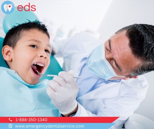 Emergency Dental Service (8) Emergency Dental Service (8)